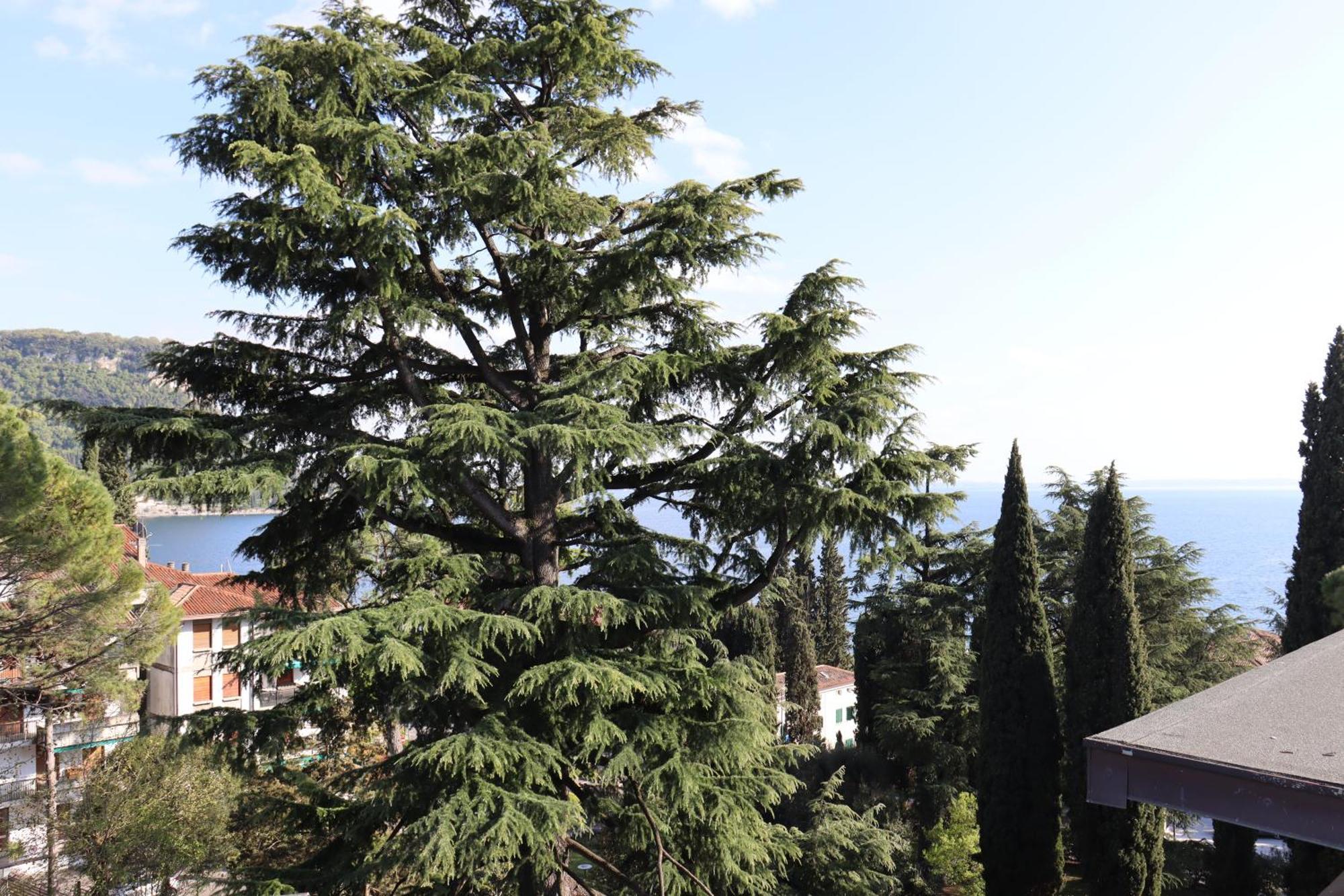 Monika Holiday 315 Magic Lake Garda  Exterior foto